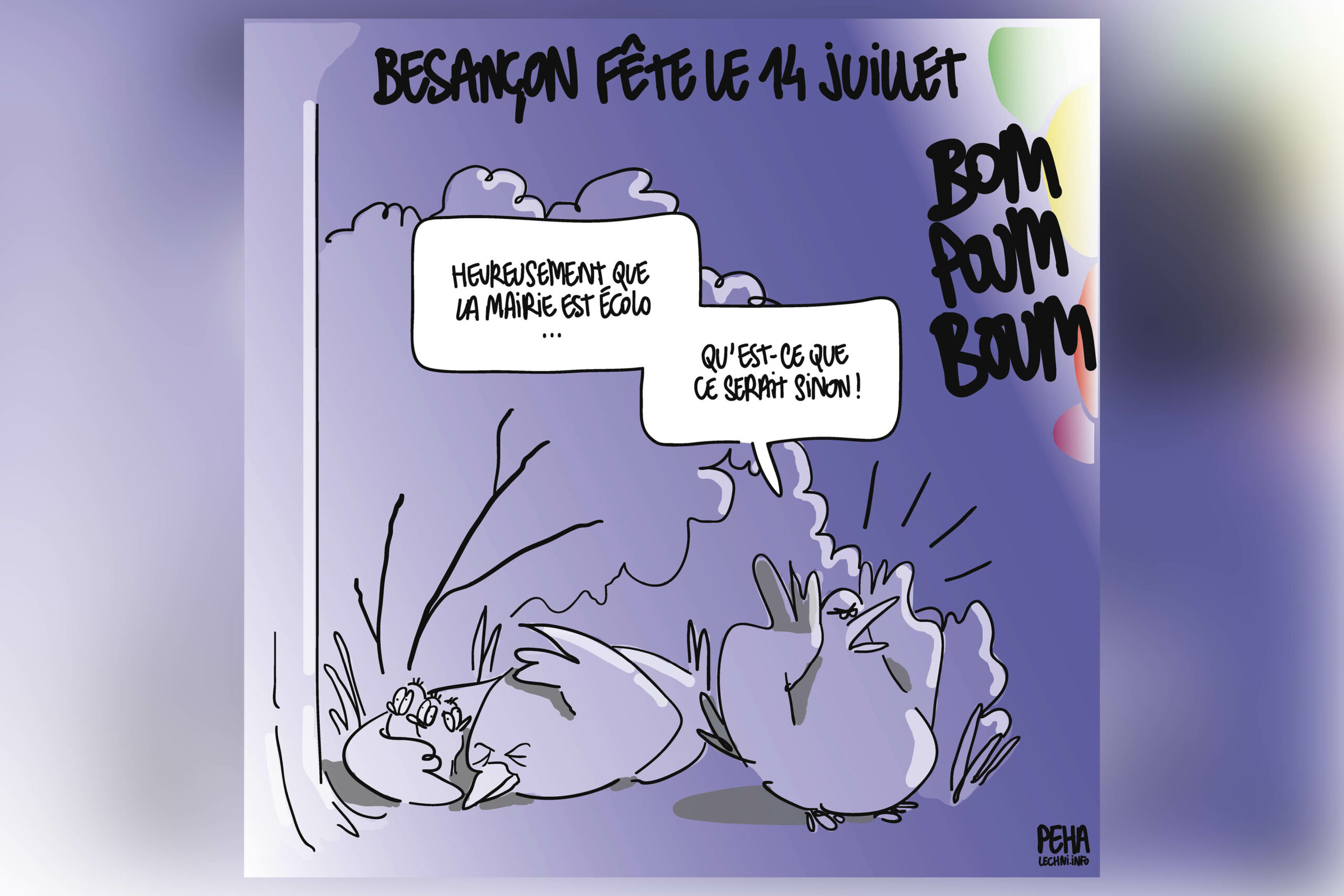 2024 07 17 Feux D'artifice Besançon Oiseaux Enavant