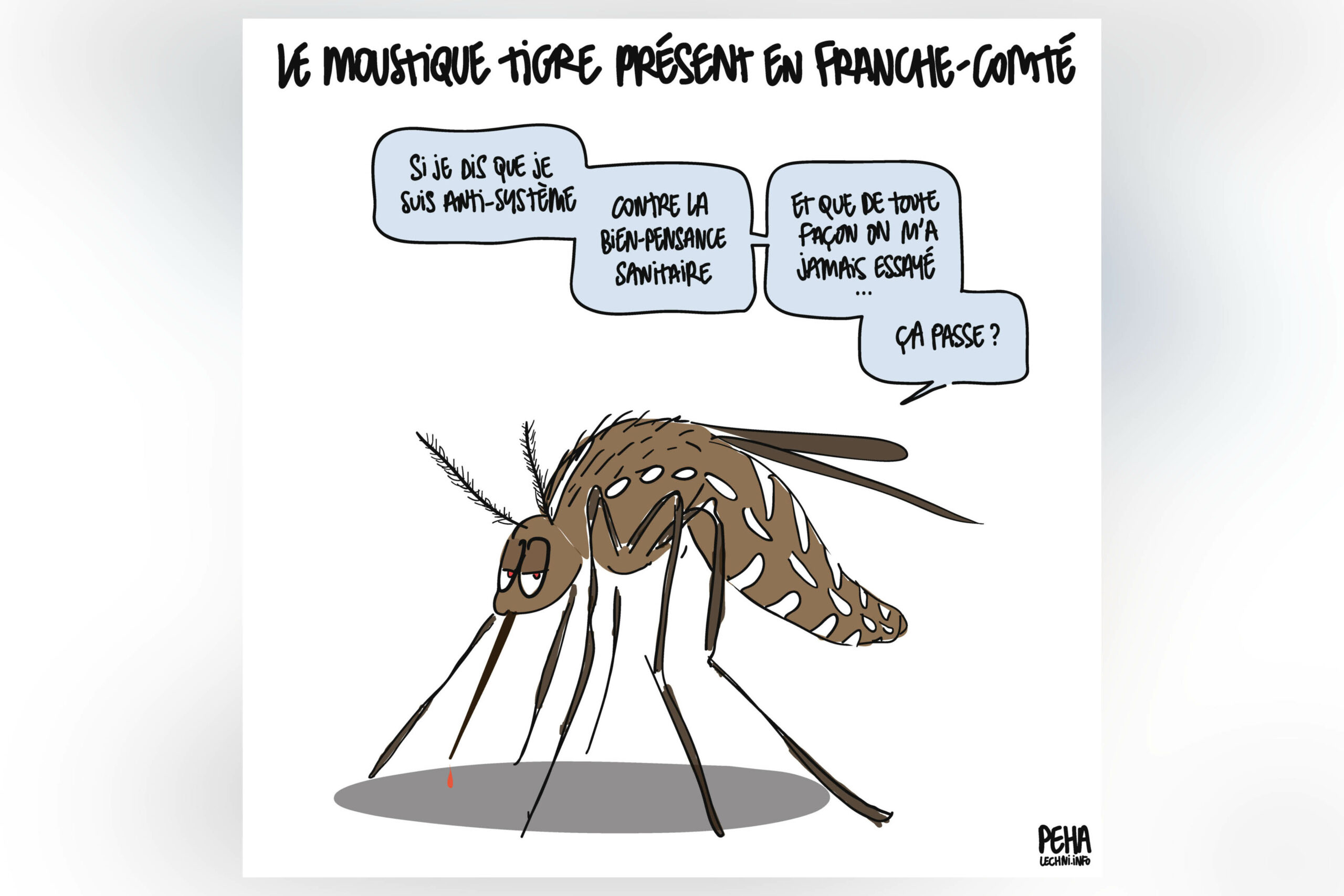 2024 07 24 Moustique Tigre Franche Comte En Avant