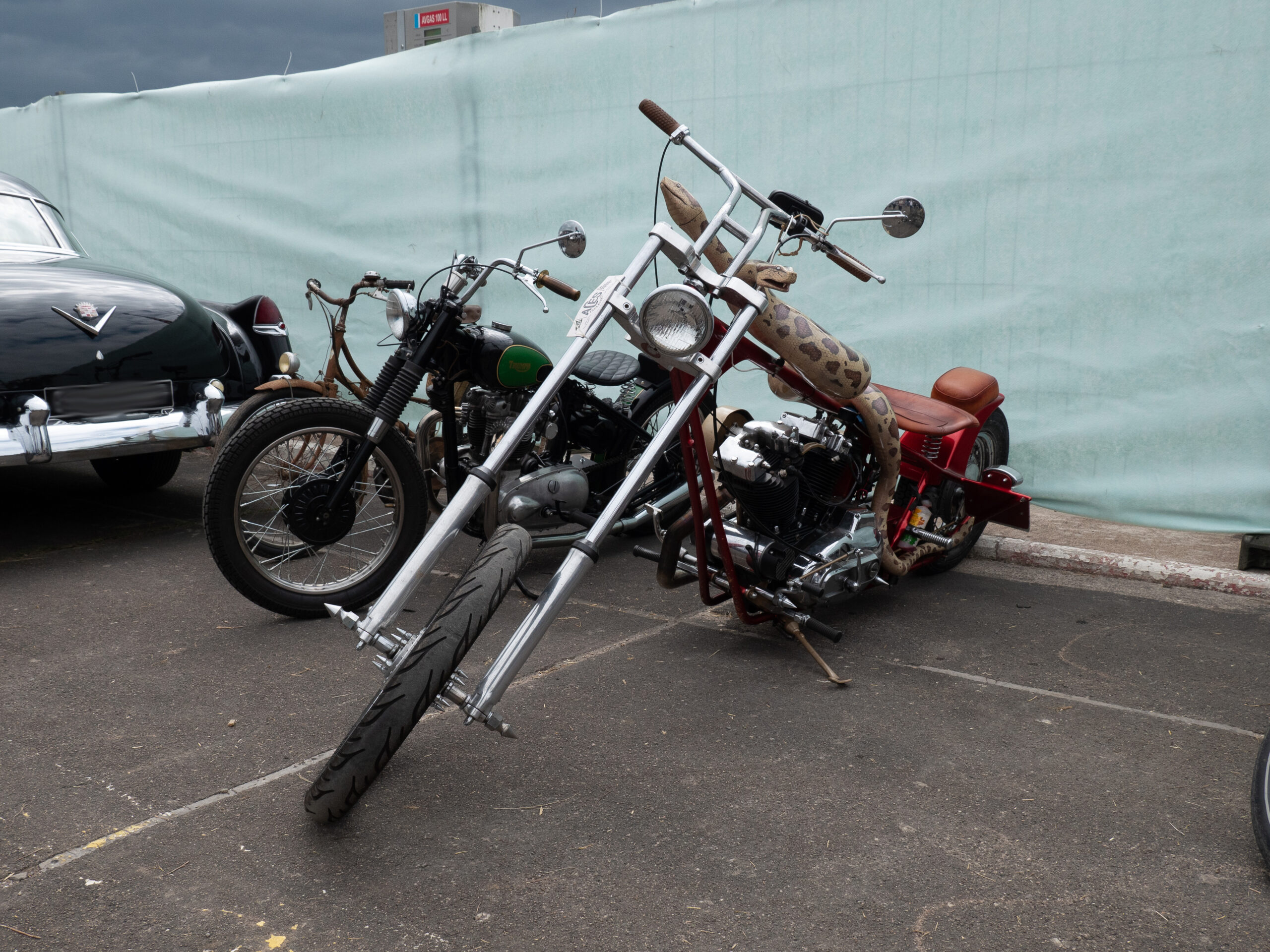 chopper décoré en python, à côté d'une moto Triumph années 60