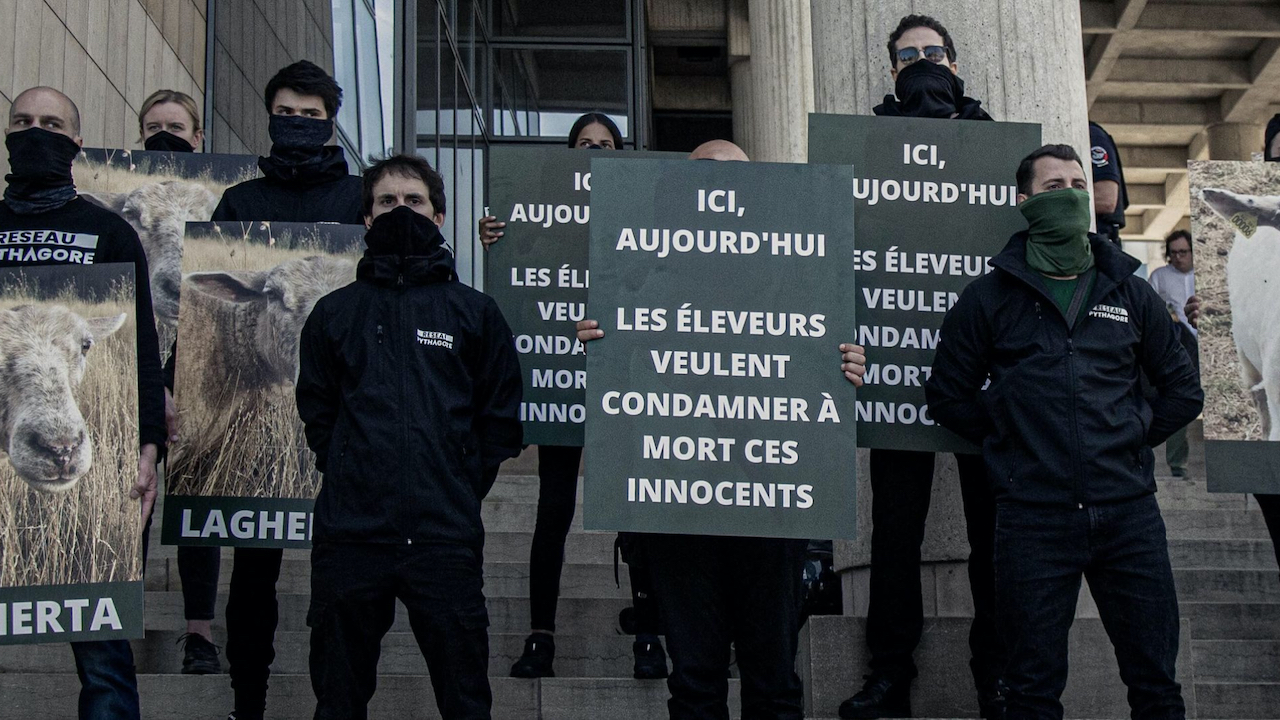 À Besançon, l’extrême droite s’essaie à la cause animale