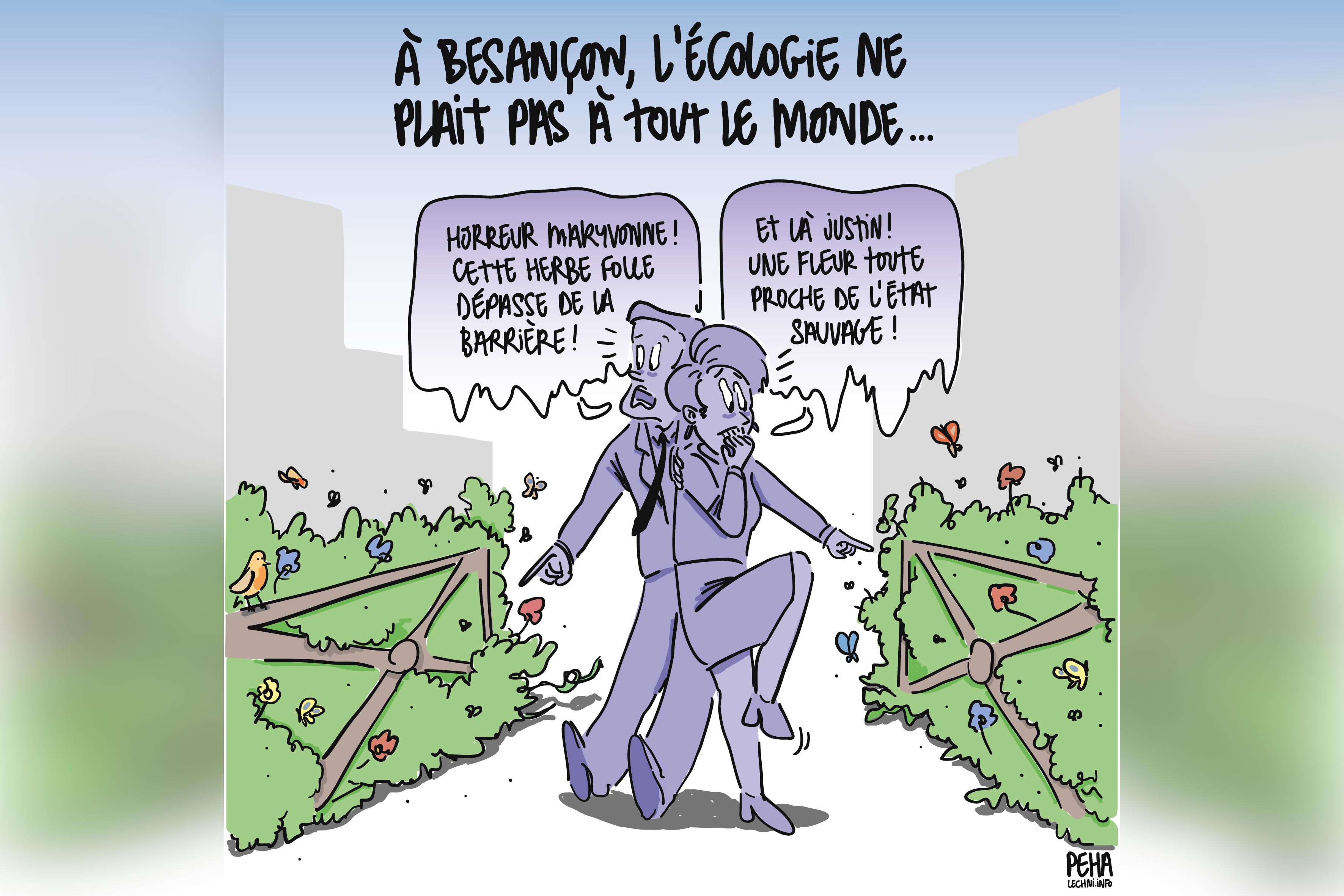 Le coup de crayon, par Peha – 06 août 2025
