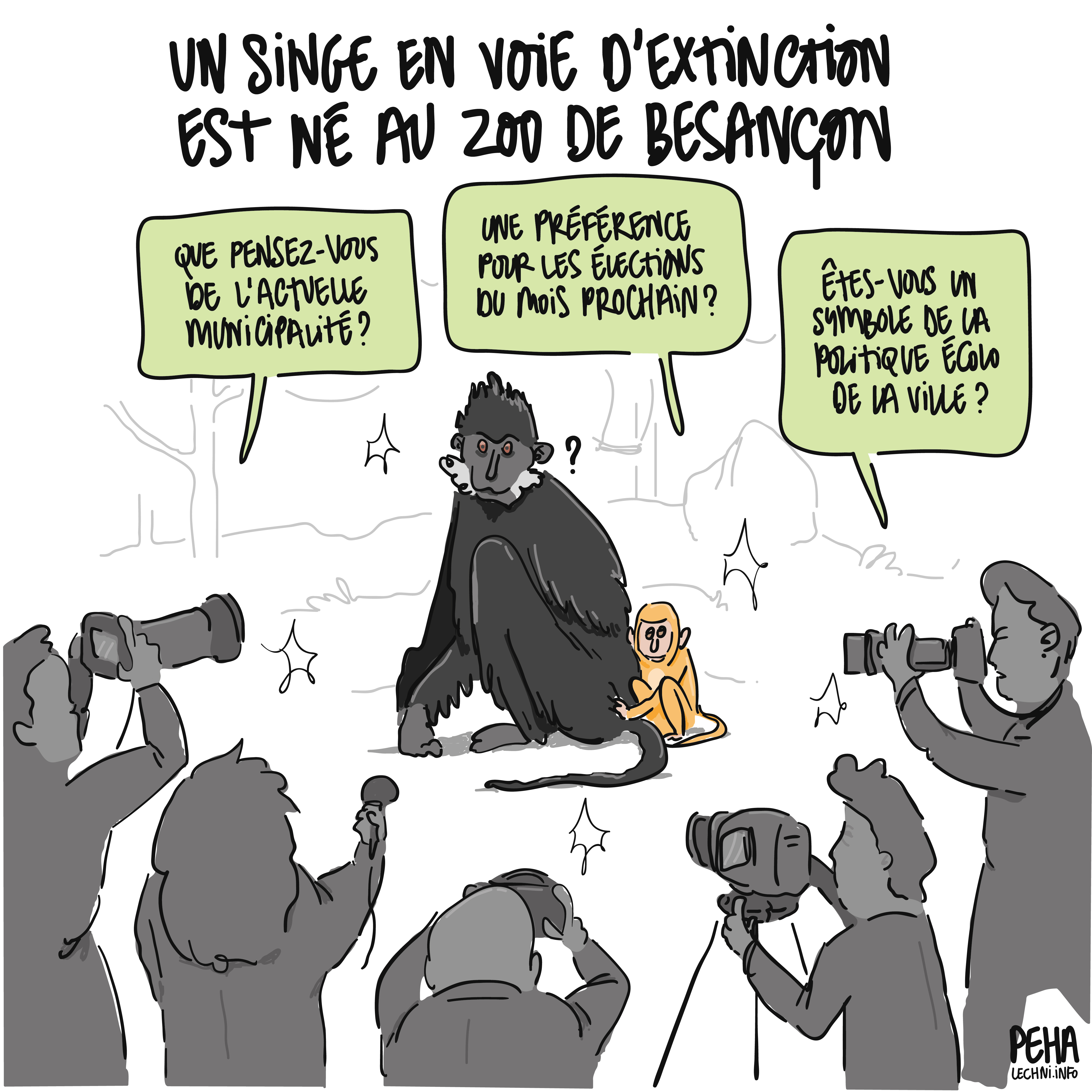 Titre du dessin : un singe en voie d'extinction est né au zoo de Besançon
Dessin d'un Langur de François et de son petit qui s'agrippe à son parent (le singe adulte est noir, le bébé est roux claquant), sous l’œil et les flashs de nombre de journalistes. Iels les assaillent de questions : que pensez-vous de la municipalité actuelle ? Une préférence pour les élections du mois prochain ? Êtes-vous un symbole de la politique écolo de la ville ?