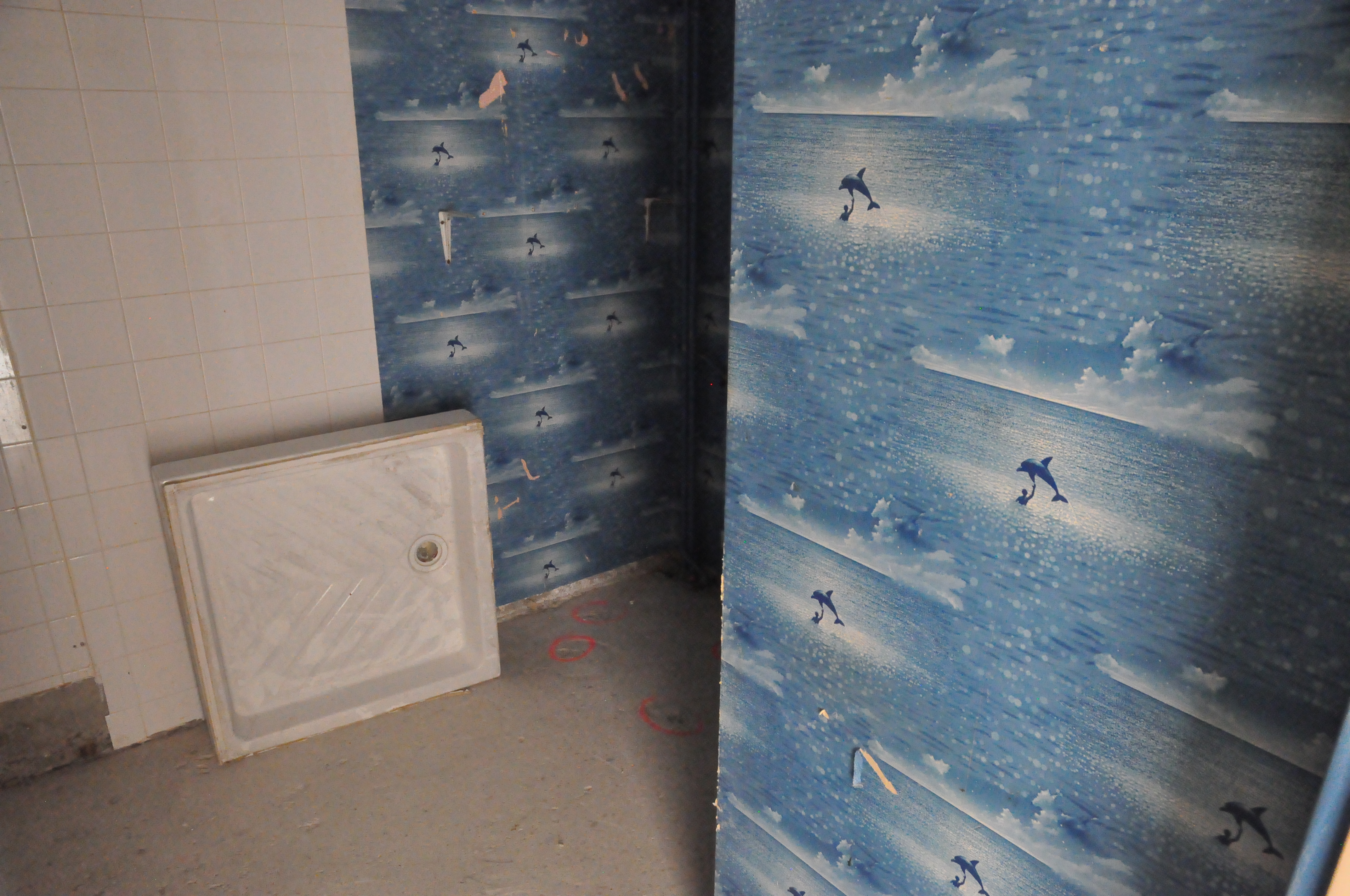 ancienne sale d'eau avec un bac de douche sur le flan, avec une partie des murs recouverts d'un papier peint issu de l'affiche du film le Grand Bleu