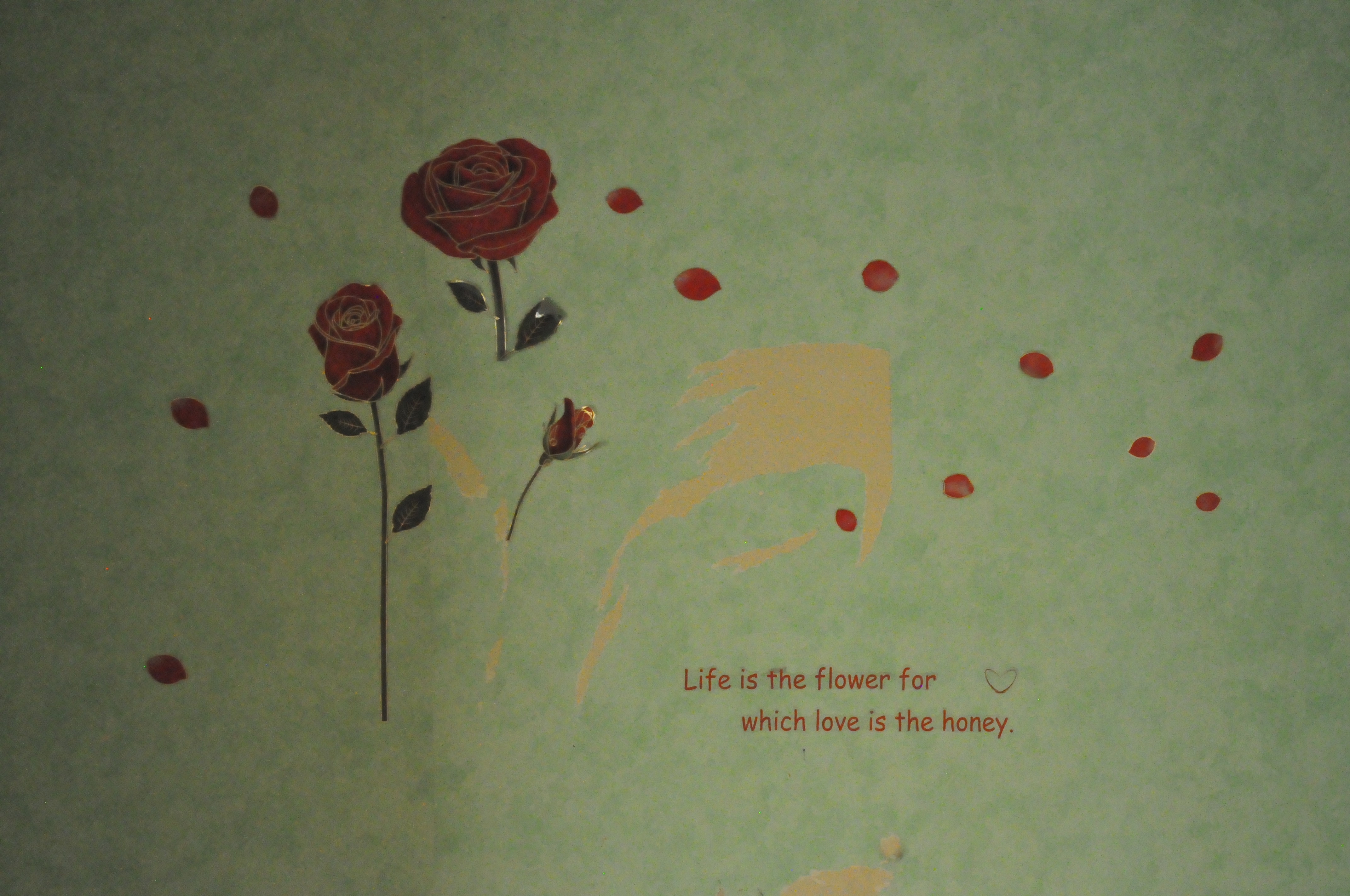 Un papier peint un peu arraché représentant deux roses et quelques pétales, avec l'inscription traduite de l'anglais : la vie est une fleur dont l'amour est le miel