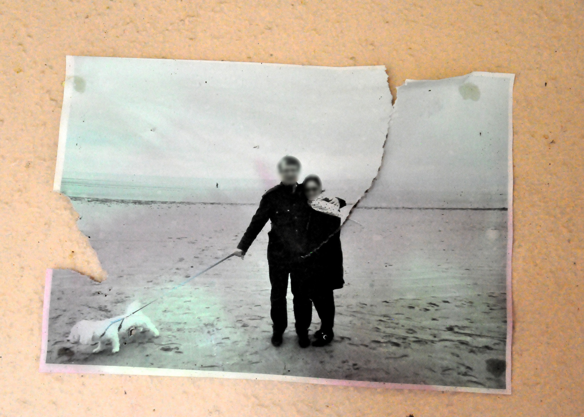 gros plan de la fameuse photo du couple, tenant un chien en laisse sur la plage. Elle est à moitié déchirée par le milieu