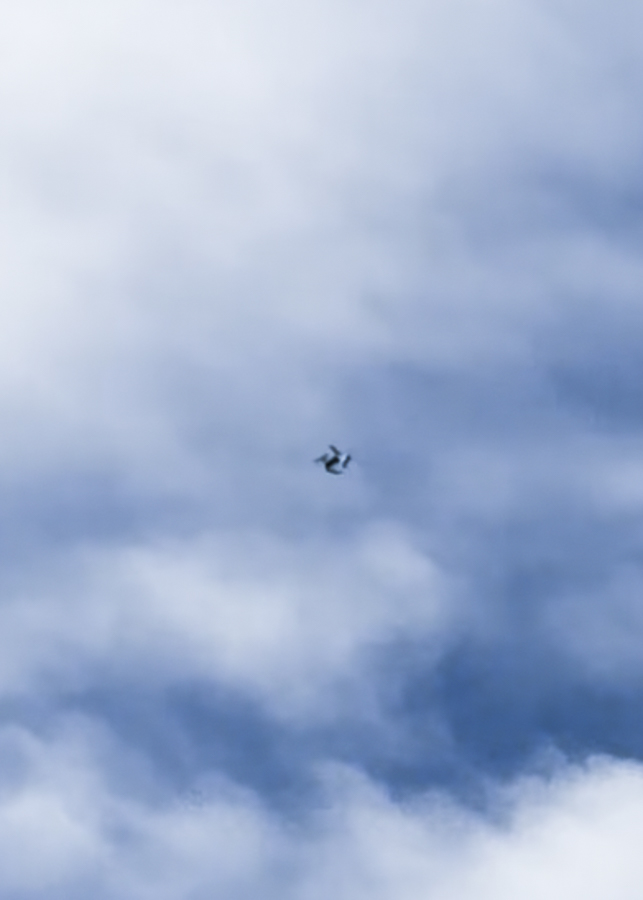 Un drone en survol au dessus du lycée Pierre Adrien Pâris